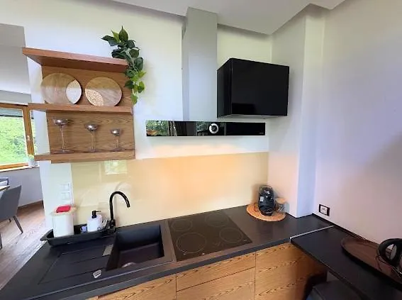 Daire Apartament Silver Zakopane Polonya